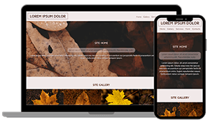 website preview